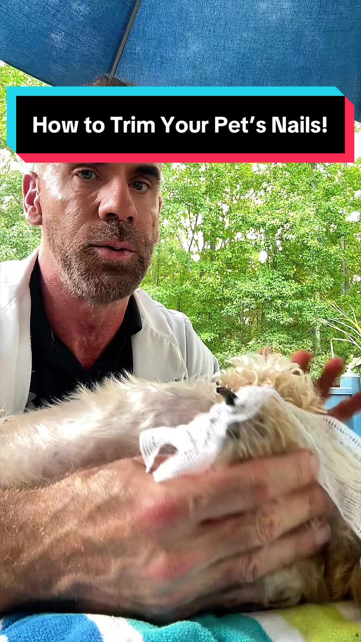 @dr.adam_christman_Veterinarian