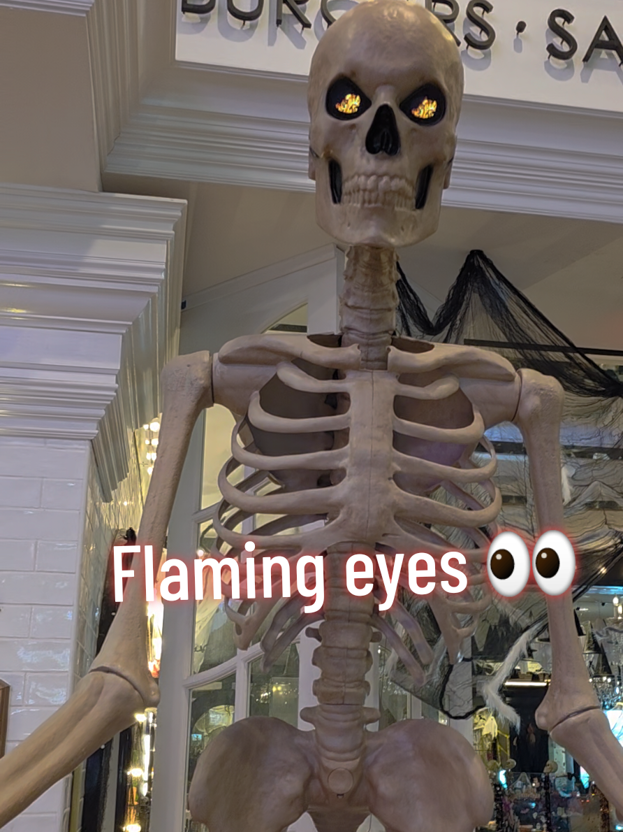 @Avian_savage1