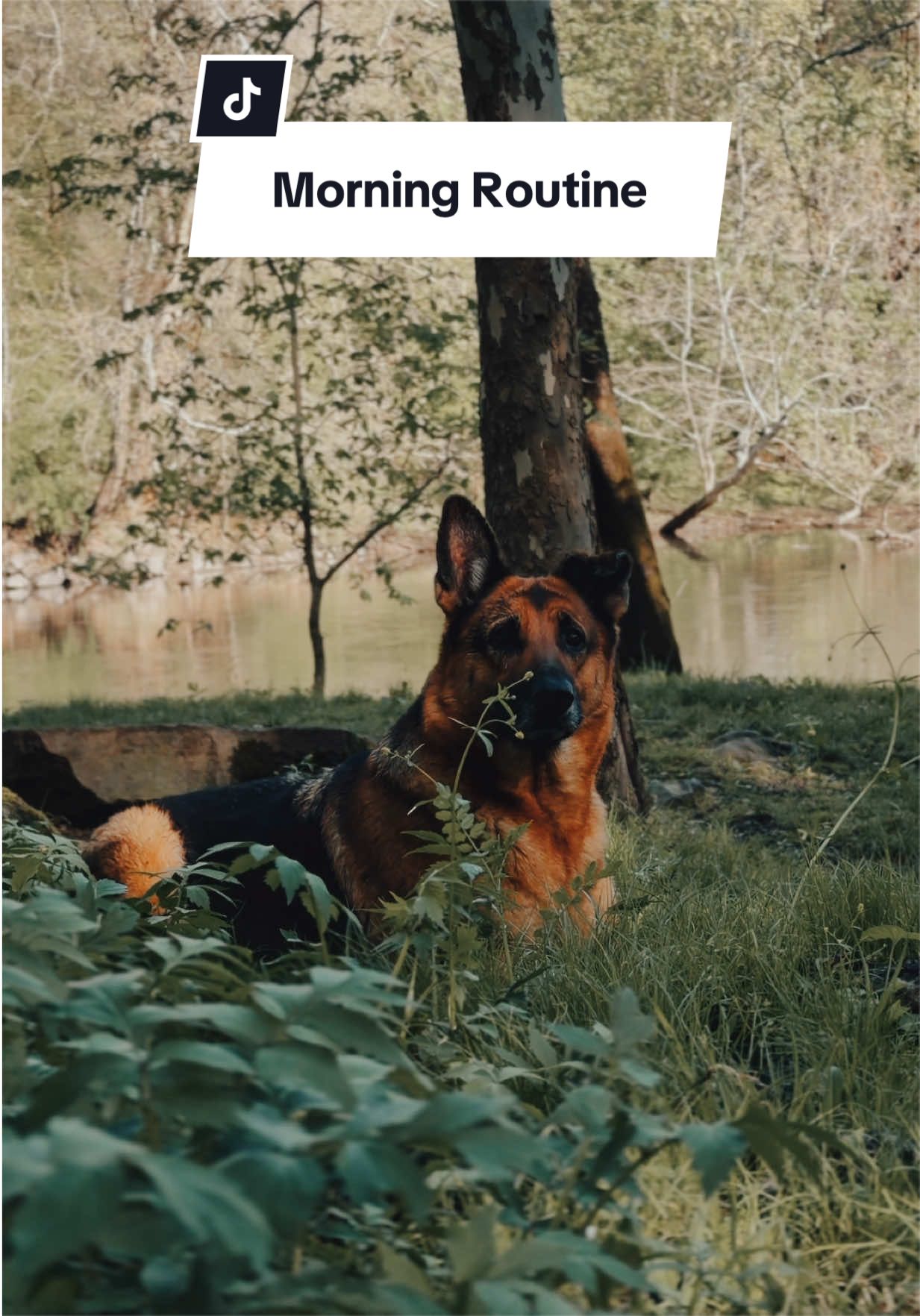 @OffLeash Outdoors