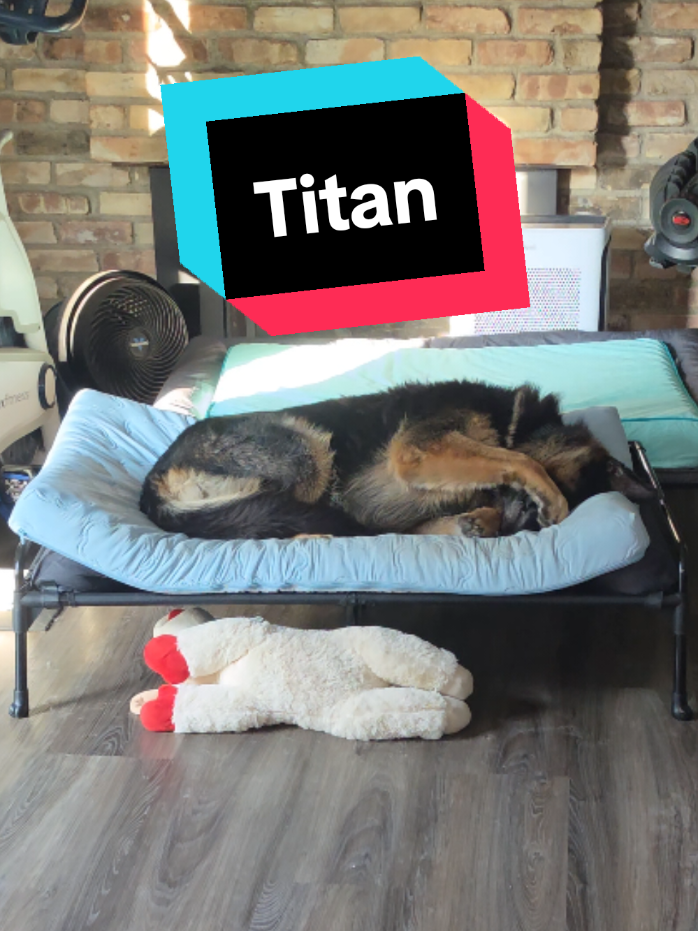 @💥Titan💥