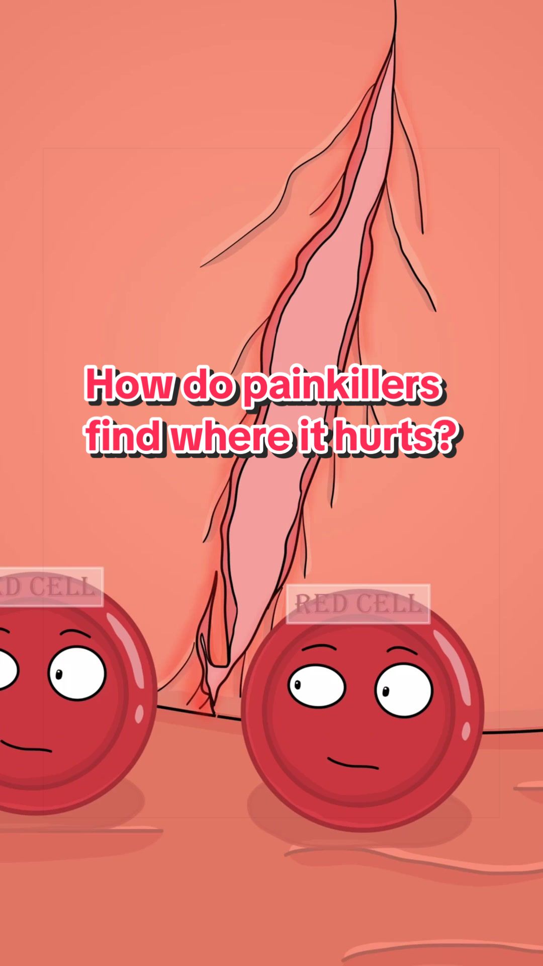 @Funny Animations