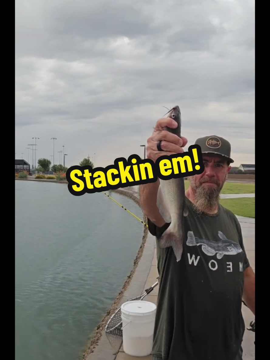 @Your Tiktok PAPA!