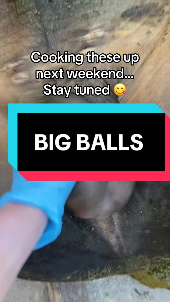 @𝔽𝕖𝕝𝕚𝕔𝕚𝕒 𝕋𝕒𝕪𝕝𝕠𝕣