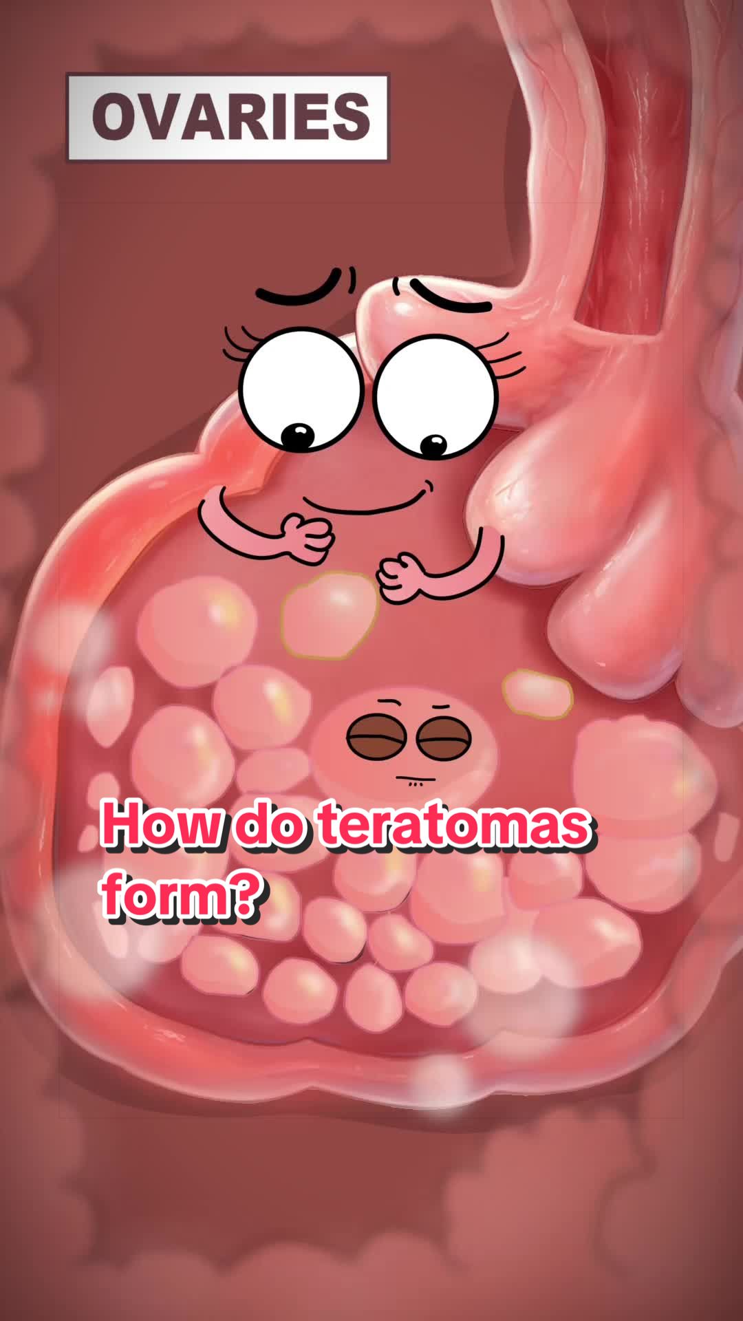 @Funny Animations