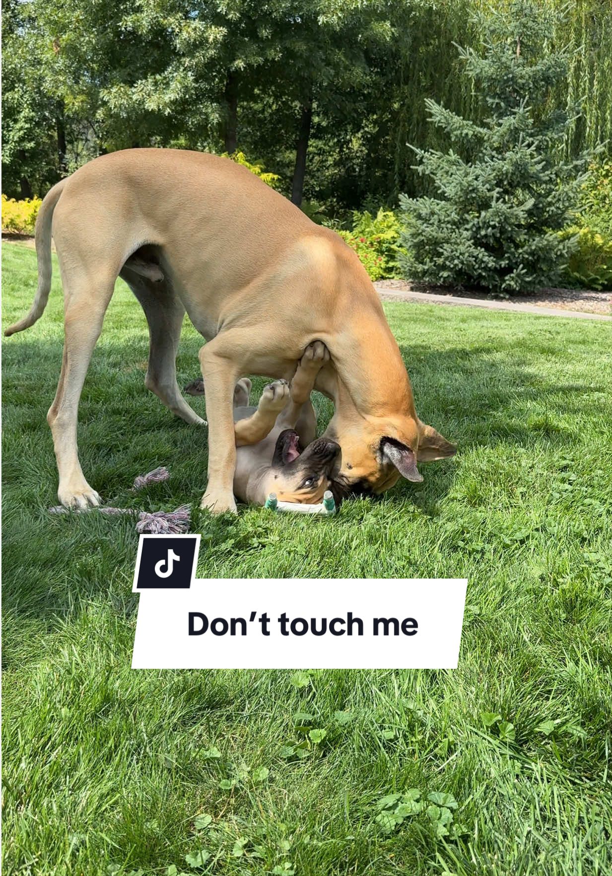 @Raising Riggs & Ripley