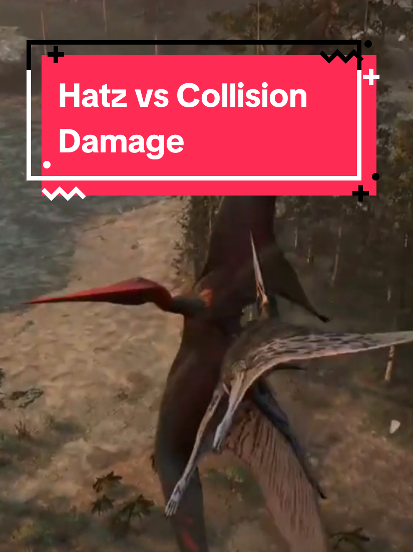 @Anti_Rhaye