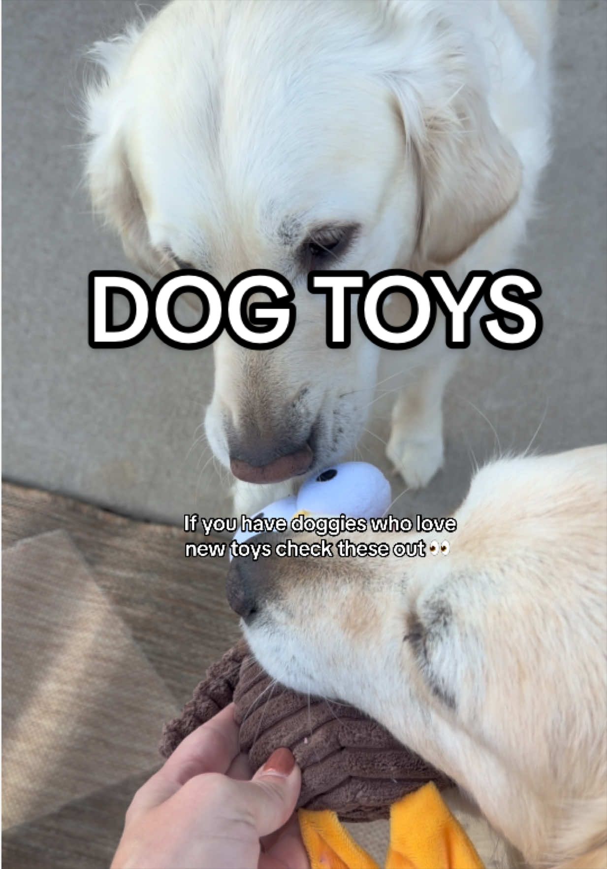 @Ｍ Ａ Ｒ Ｙ Ａ Ｎ Ｎ