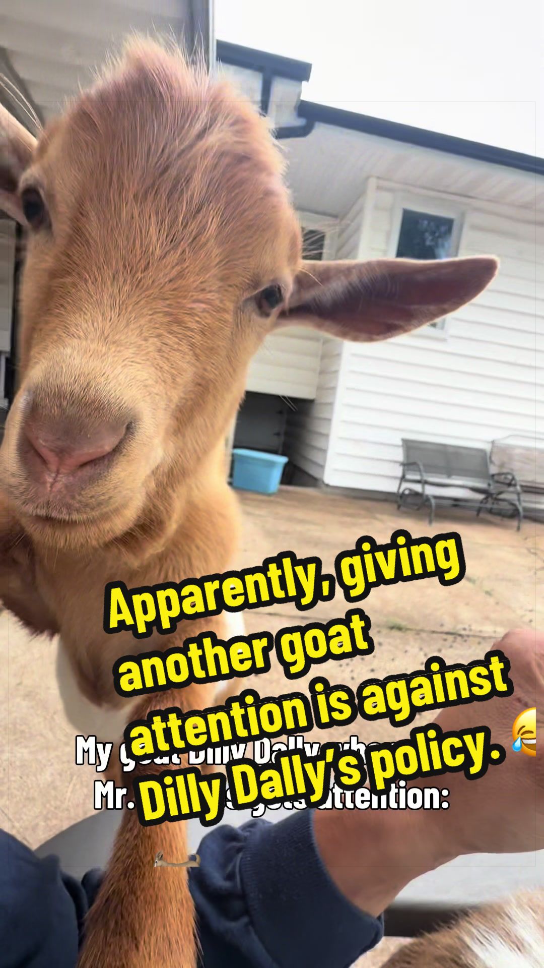 @KidsOnKerth 🐐 Hannah 💀🎃👻
