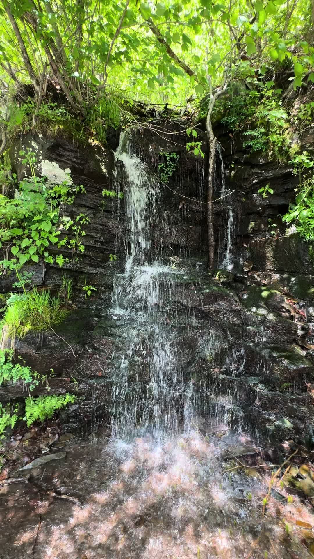 @adk__adventures