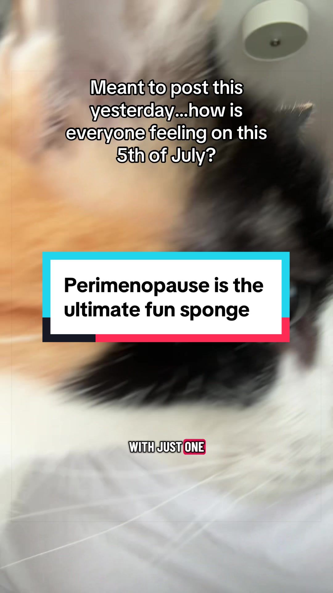 @Perimenomayhem