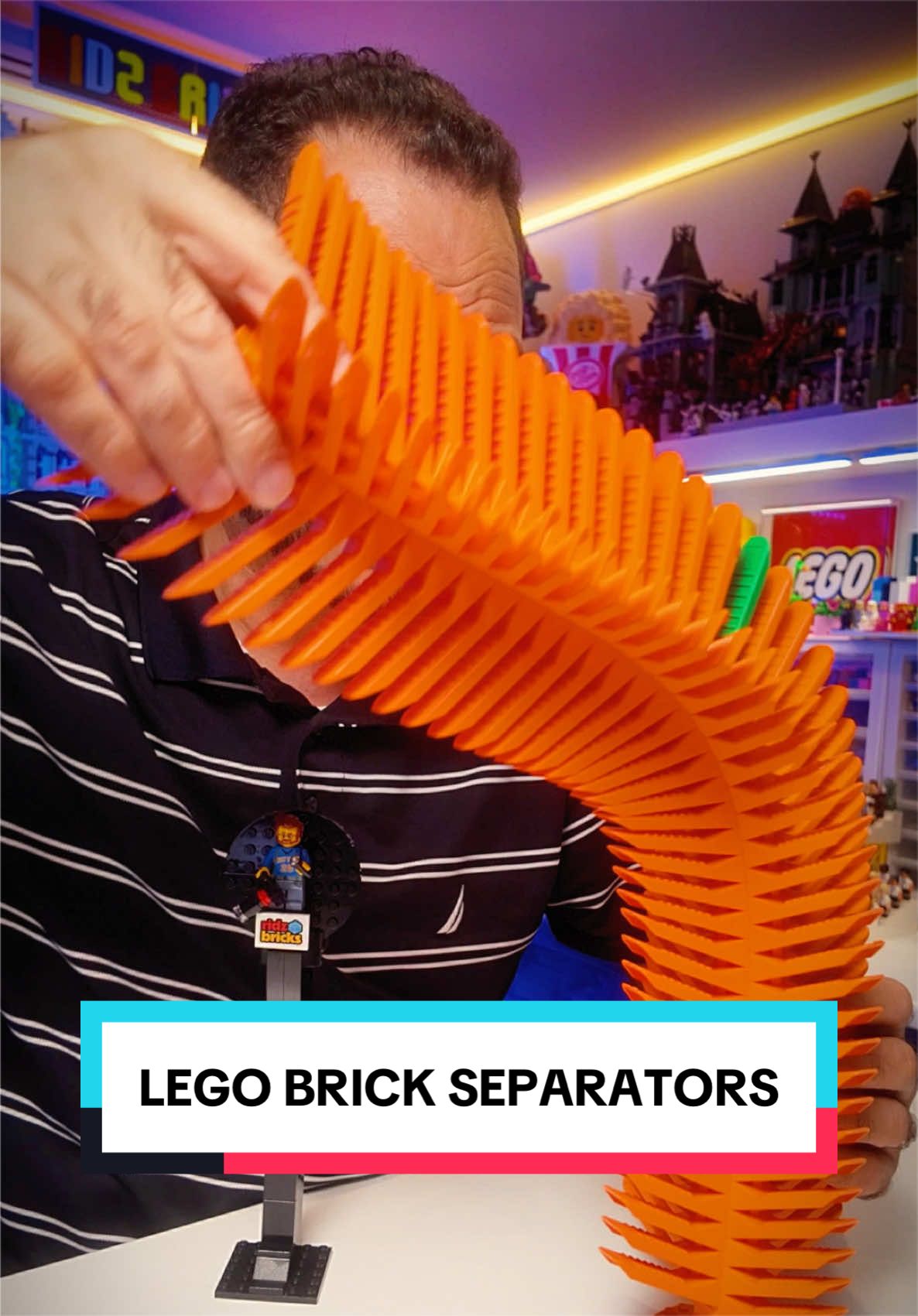 @ridzbricks