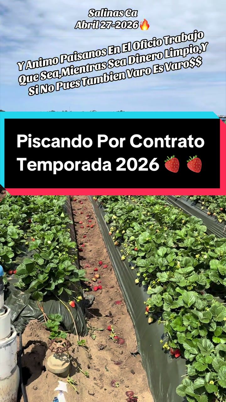 @elbuenavida58