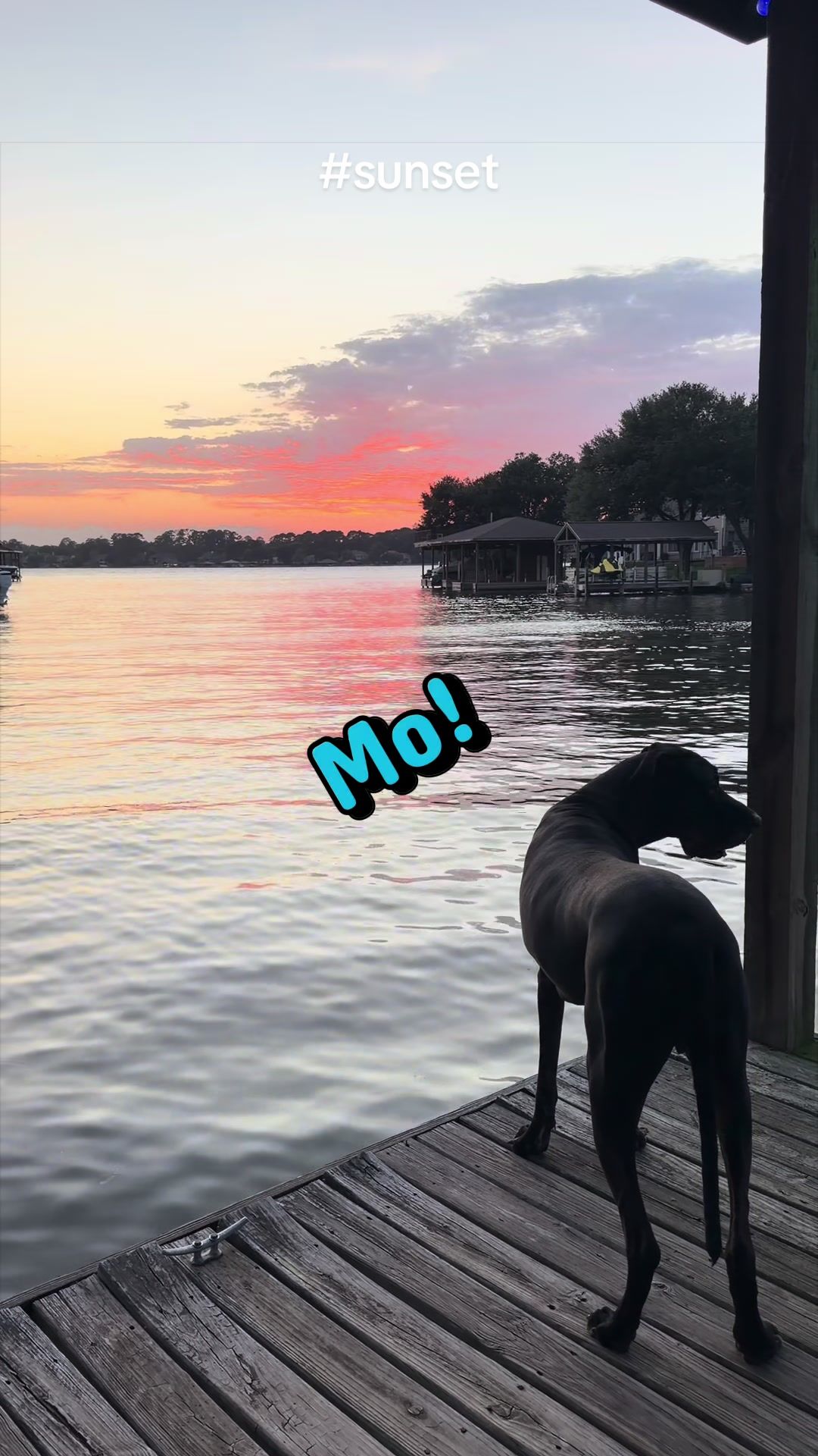 @Mo