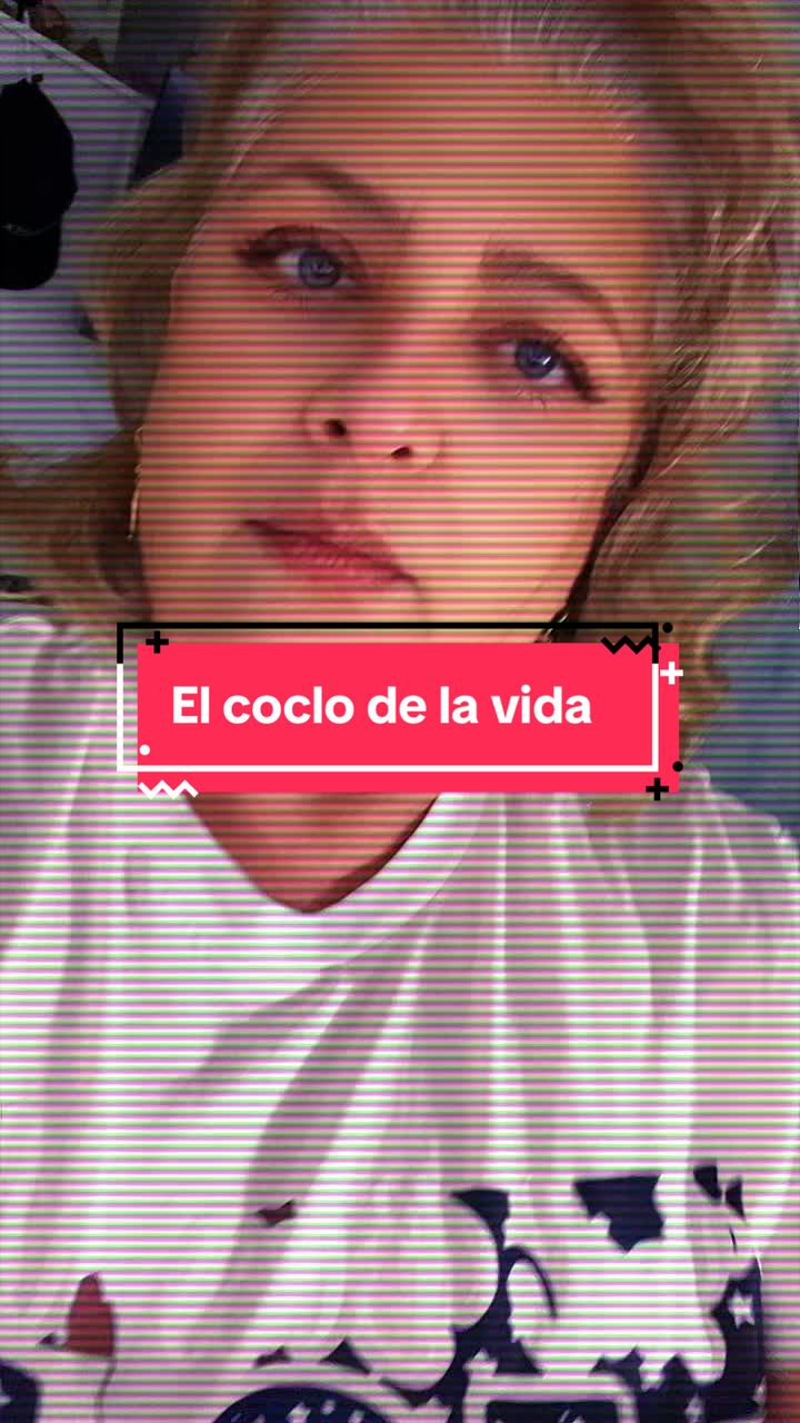 @Loida