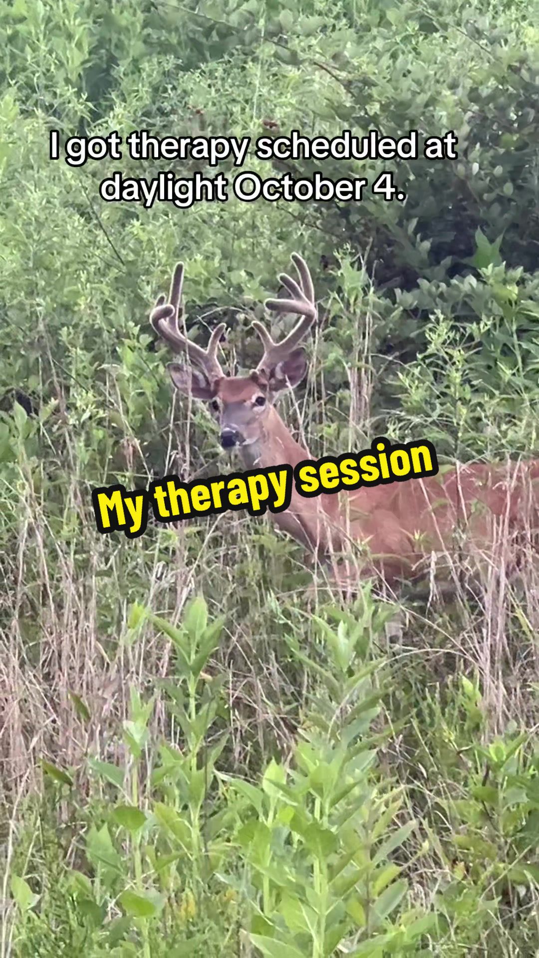 @Josh And Hunter’s Adventures