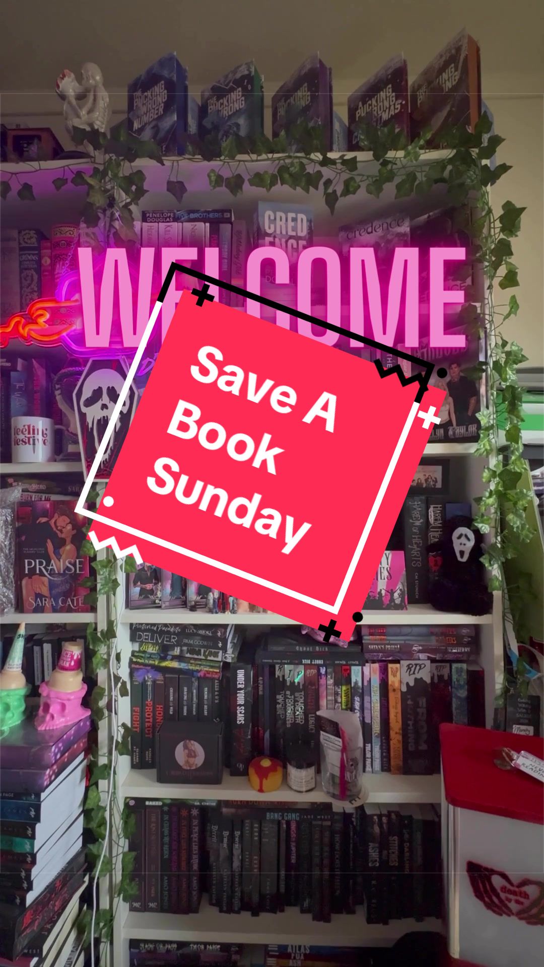 @themandysin 📚🦇