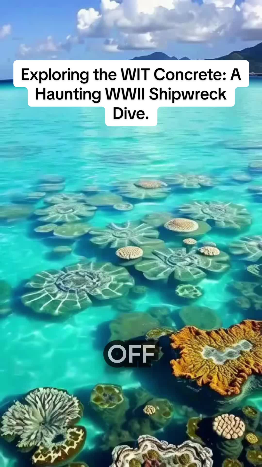 @caribbean_chronicles