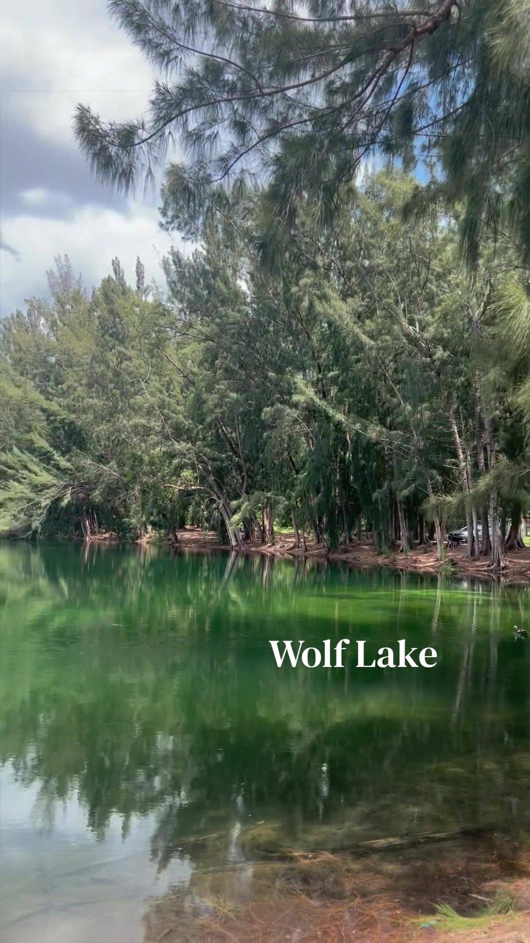 @FLSwimPaddleHike