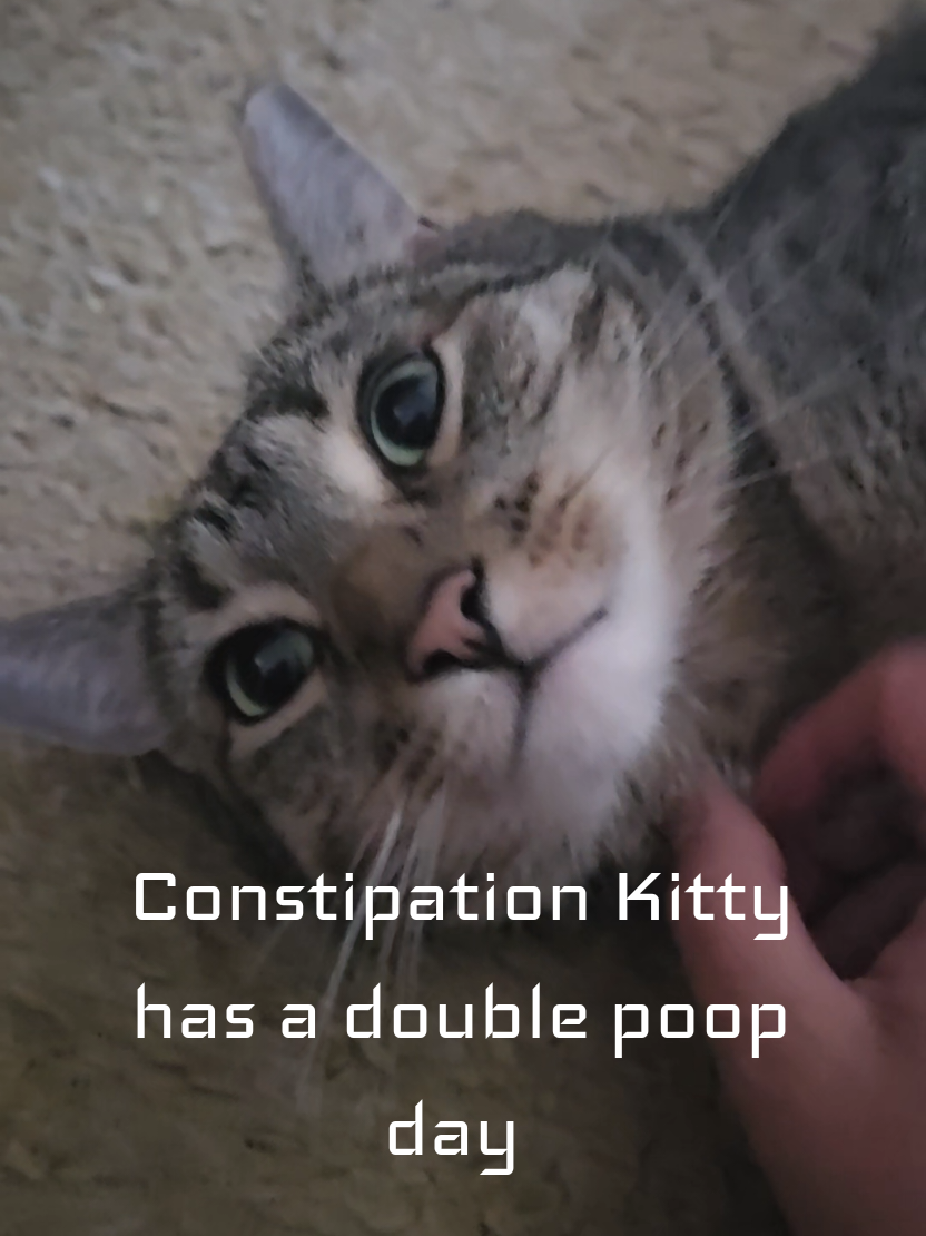 @tiny_tnr_tigers