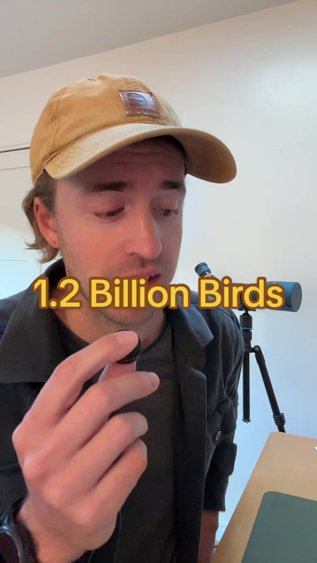 @Nature is Surreal