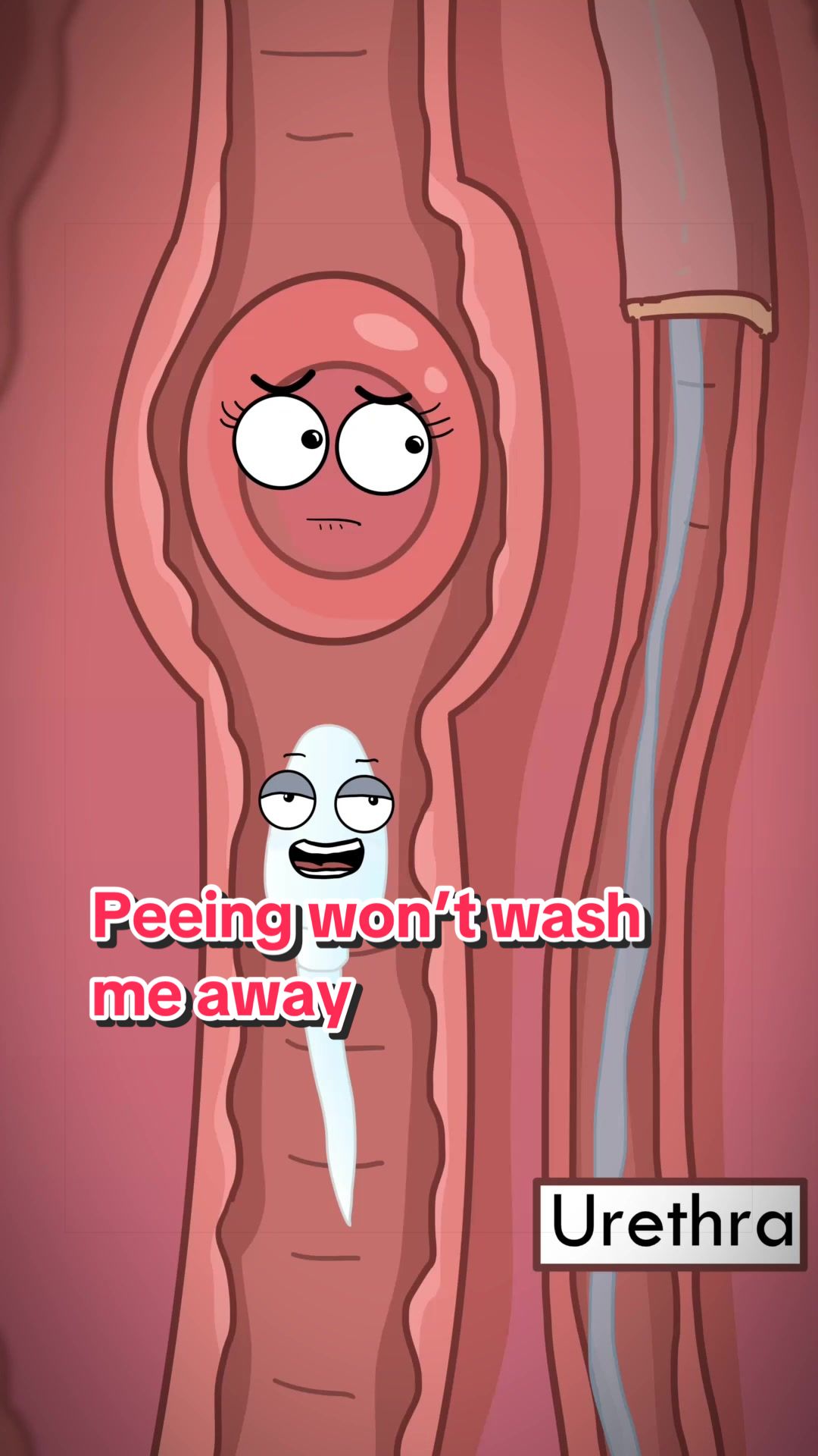 @Funny Animations