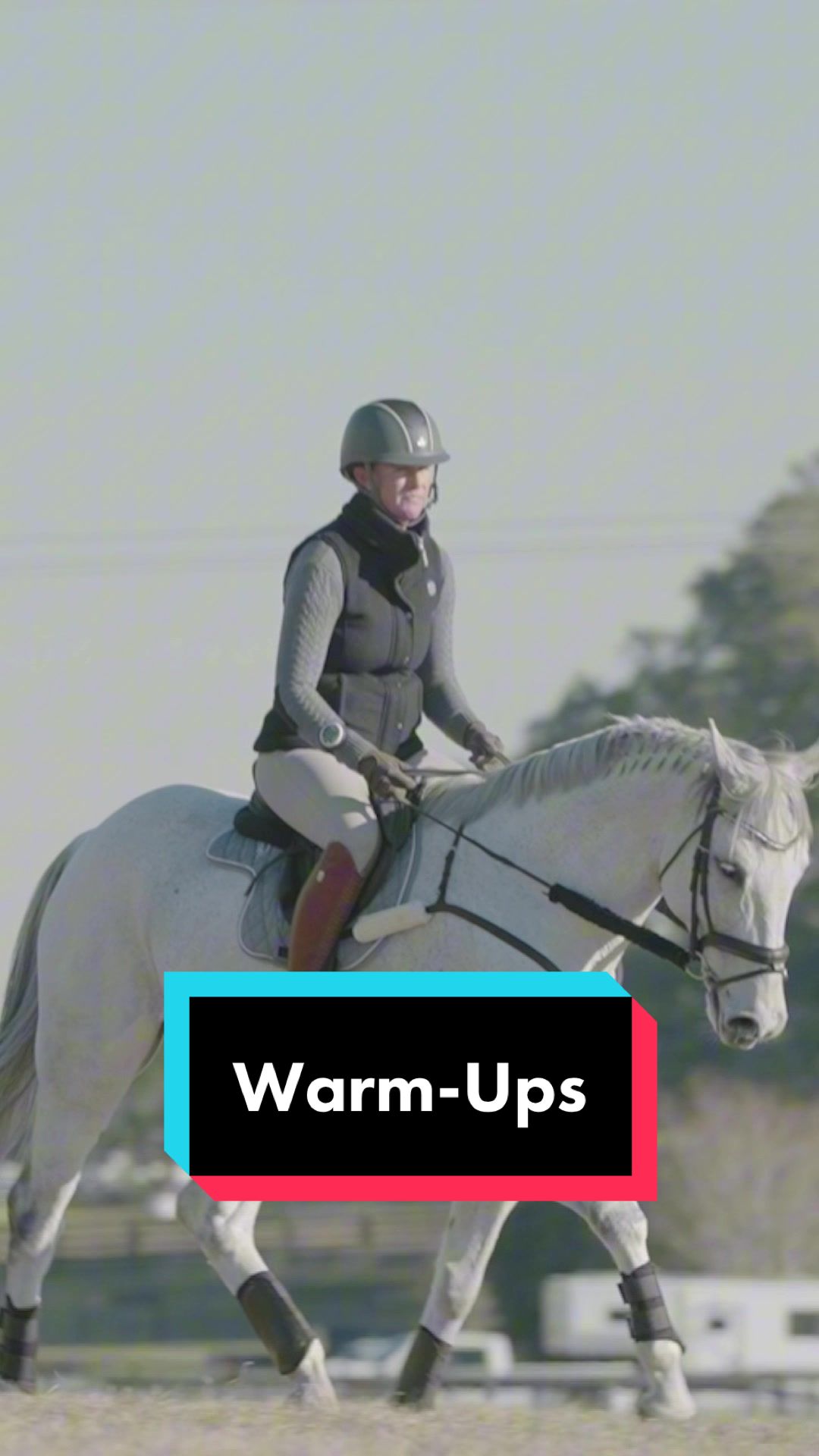 @Fit Equine