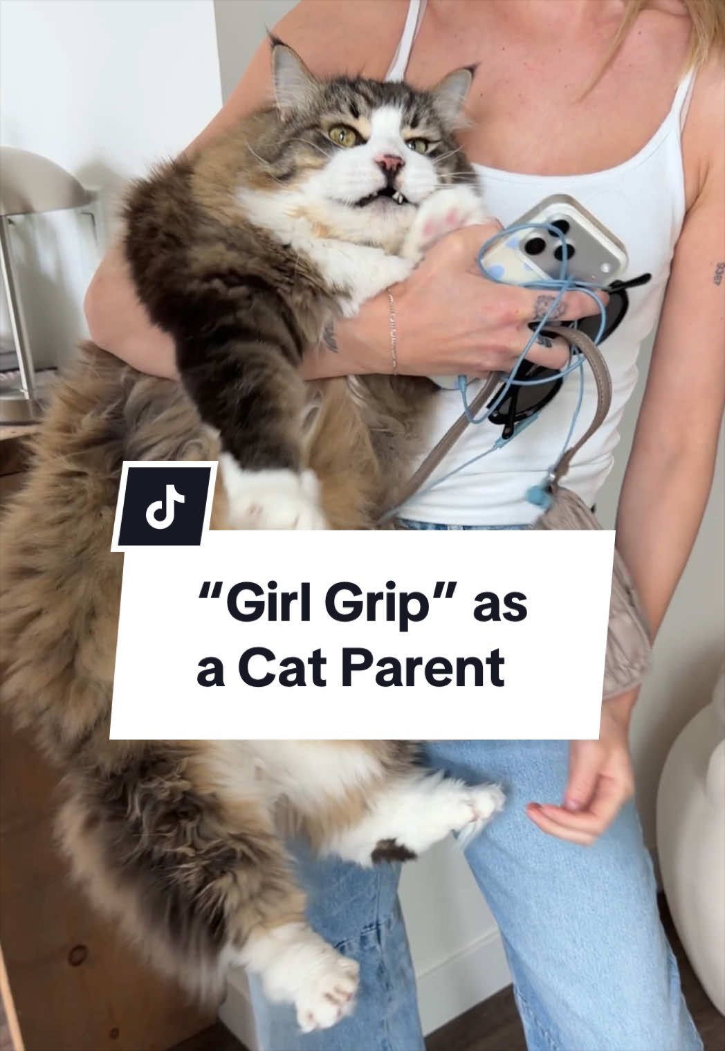 @Tuft & Paw