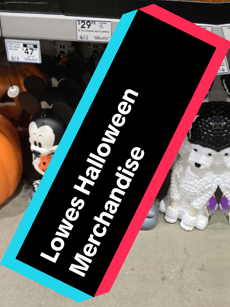 @Shimey Collectibles & Gaming