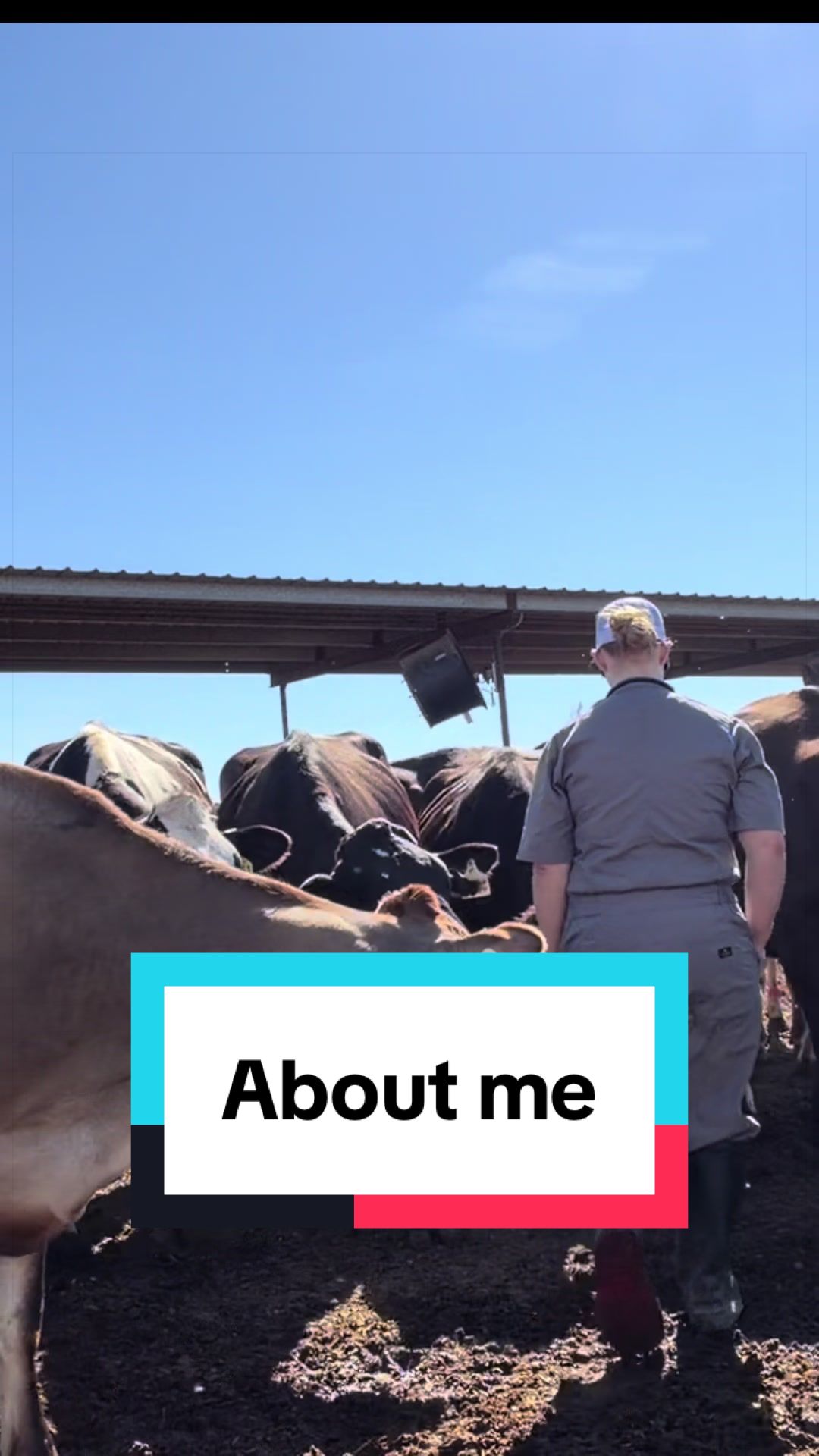 @Dairy Vet Dr. Michelle