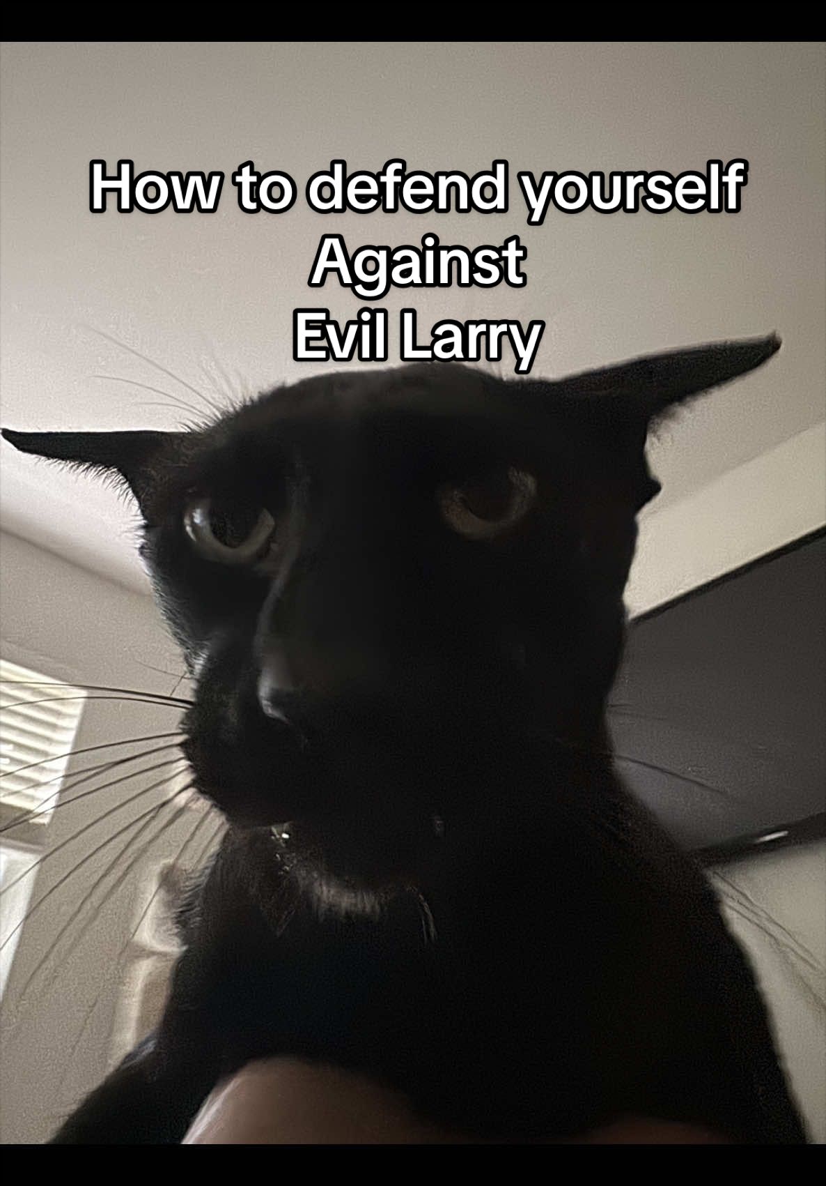 @hobbikats
