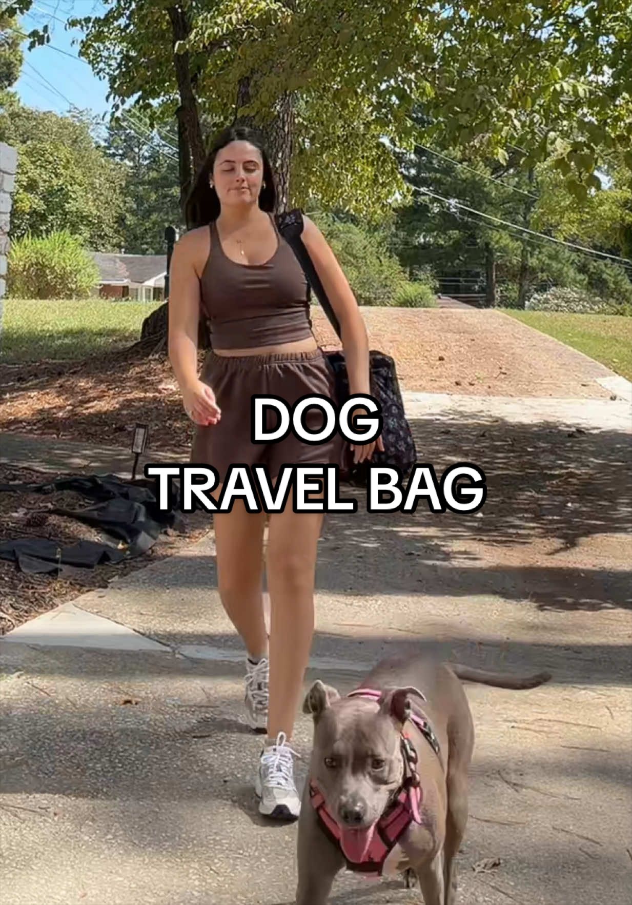 @DreamingWanderlust