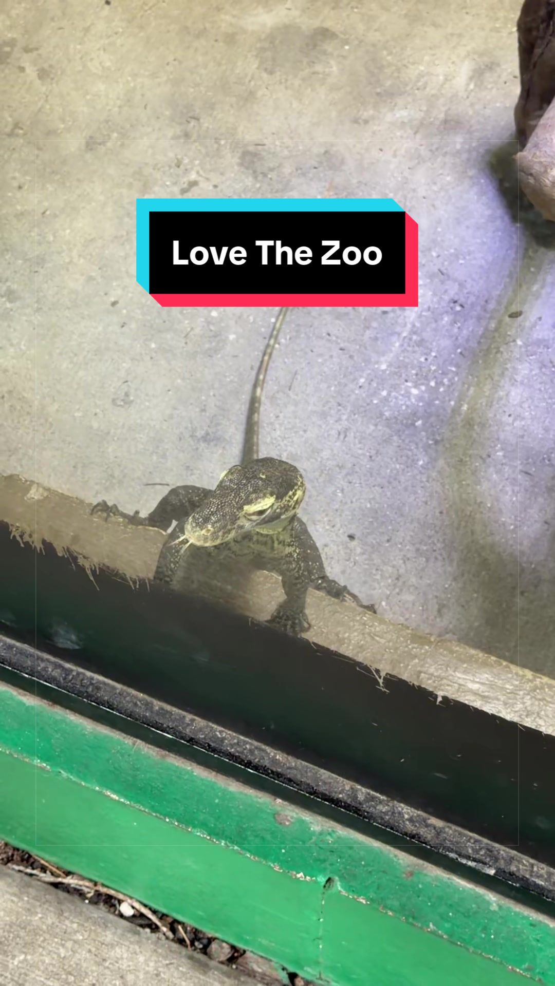 @HTL Exotics