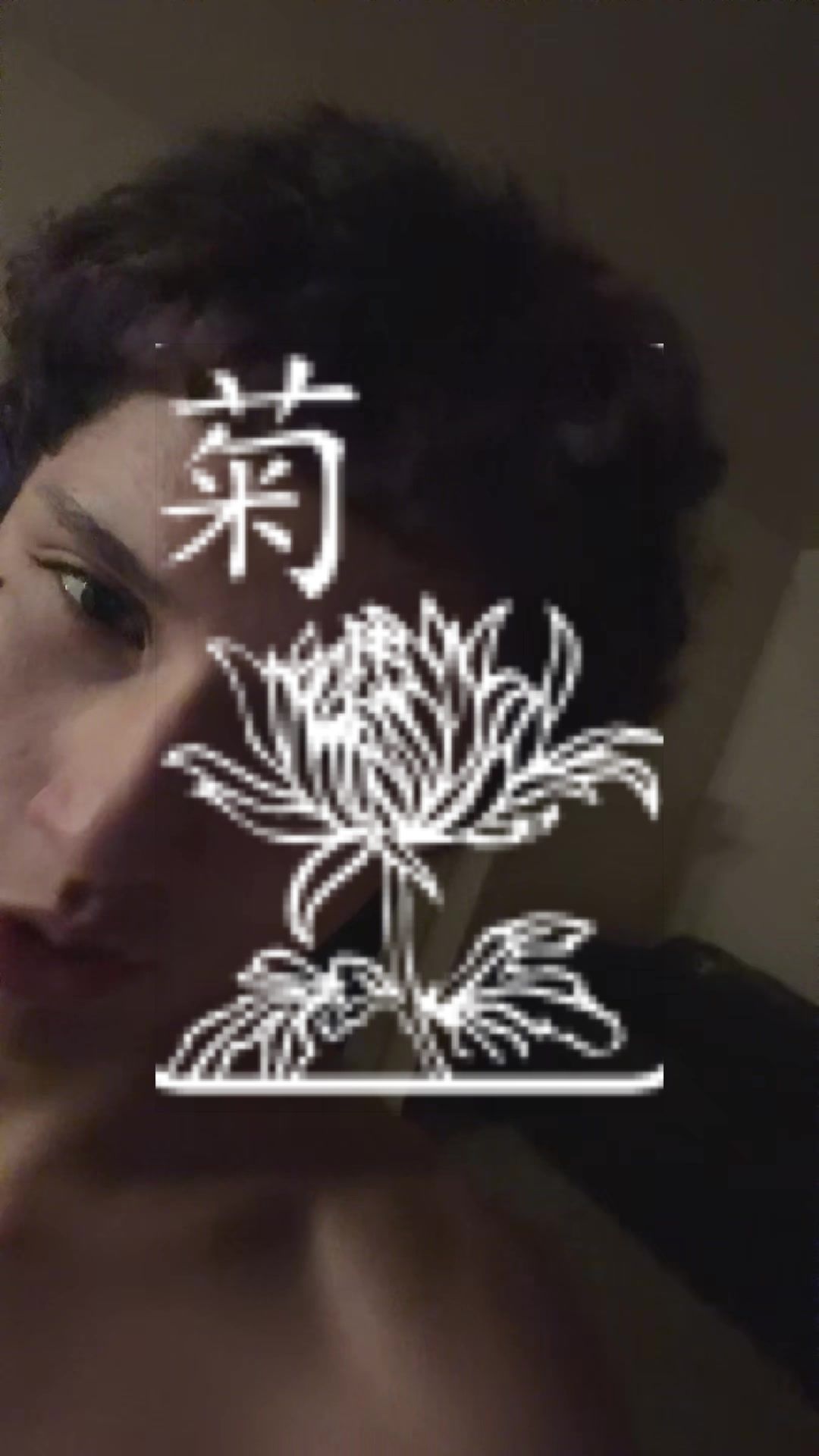 @xanxle