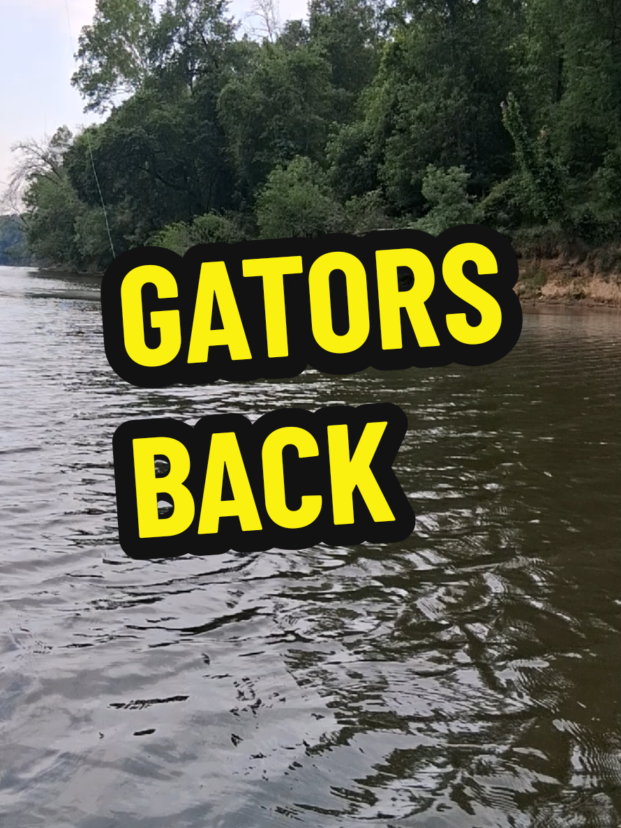 @Gator