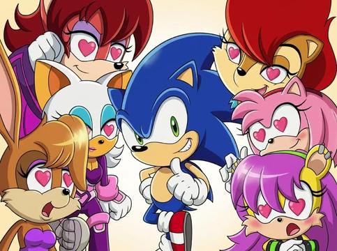 @King Rebel Sonic Hedgehog