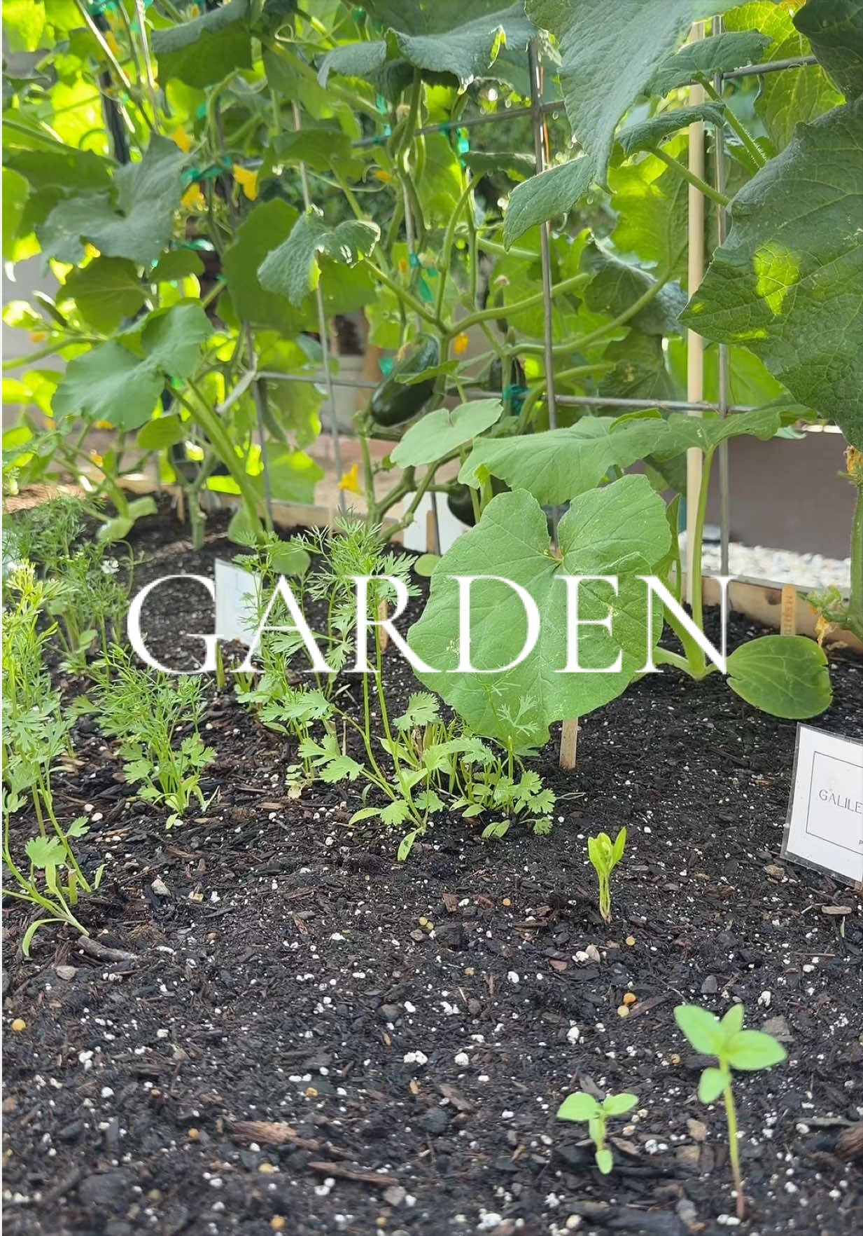 @Arany Hernandez
