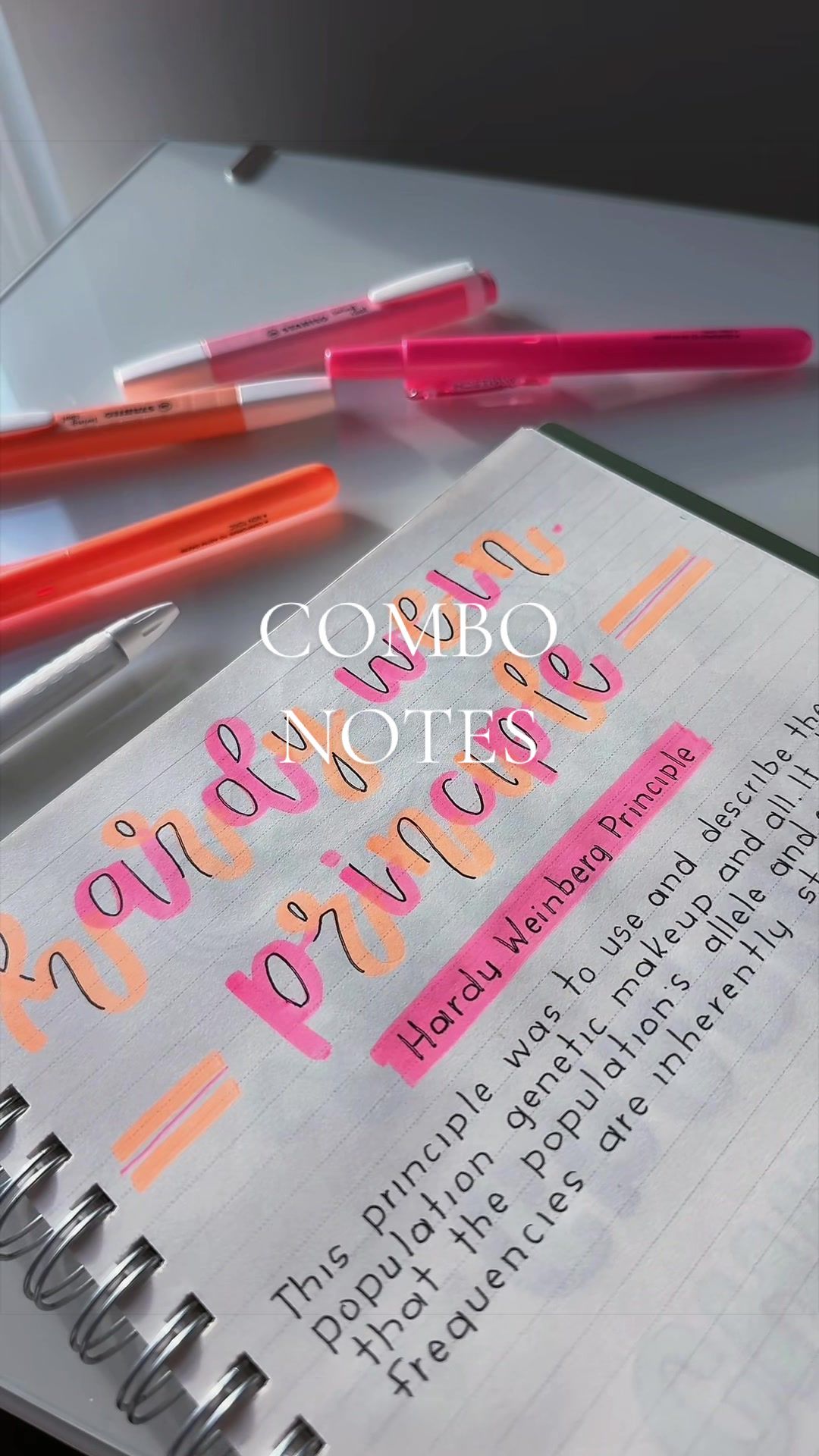 @arianna tamayo