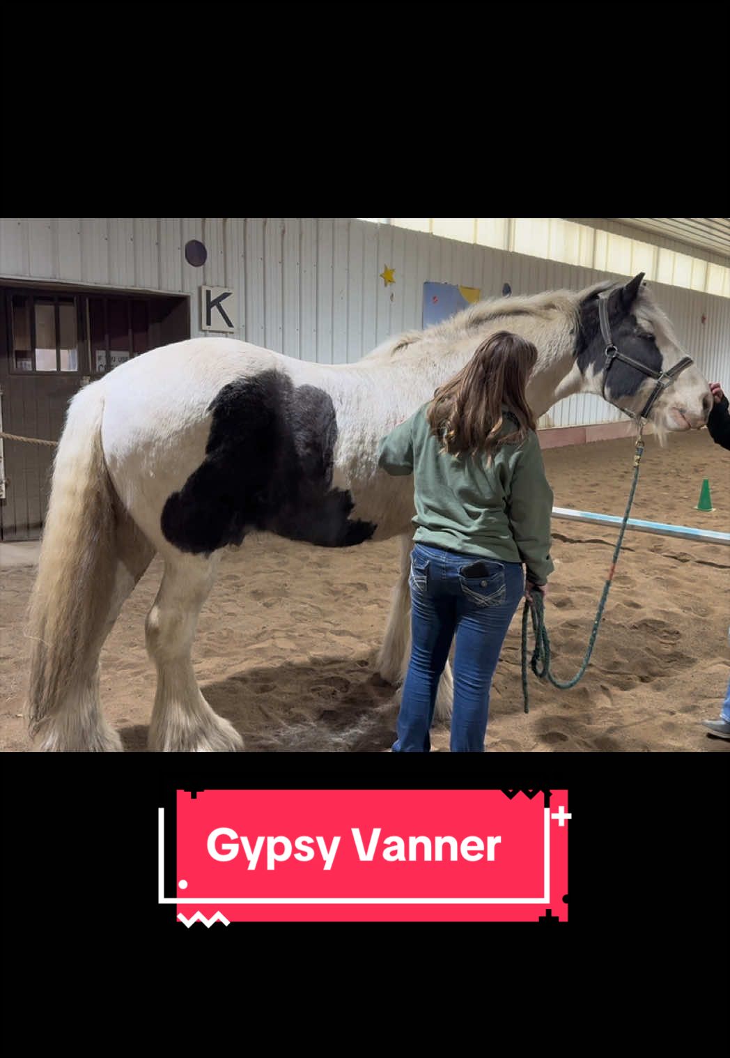 @yourhorseandponyleader
