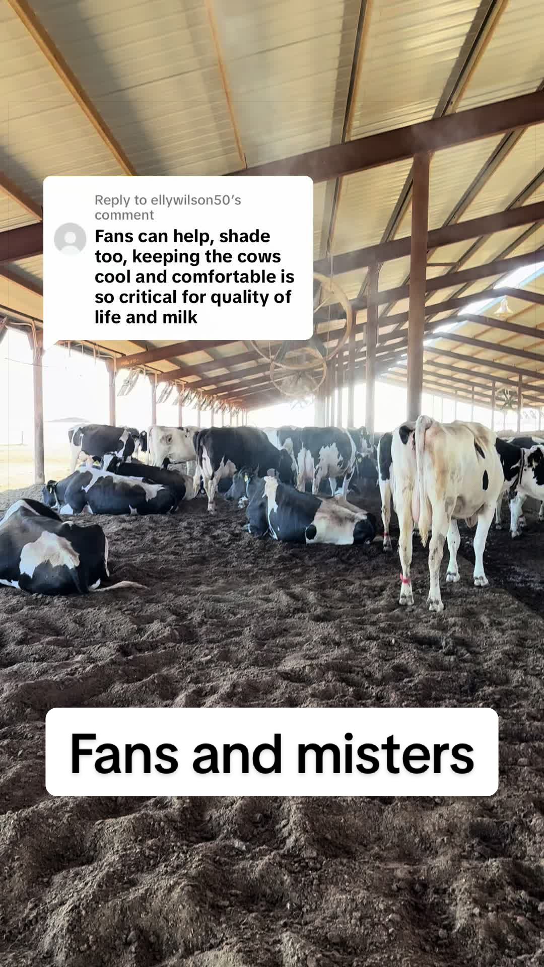 @Dairy Vet Dr. Michelle