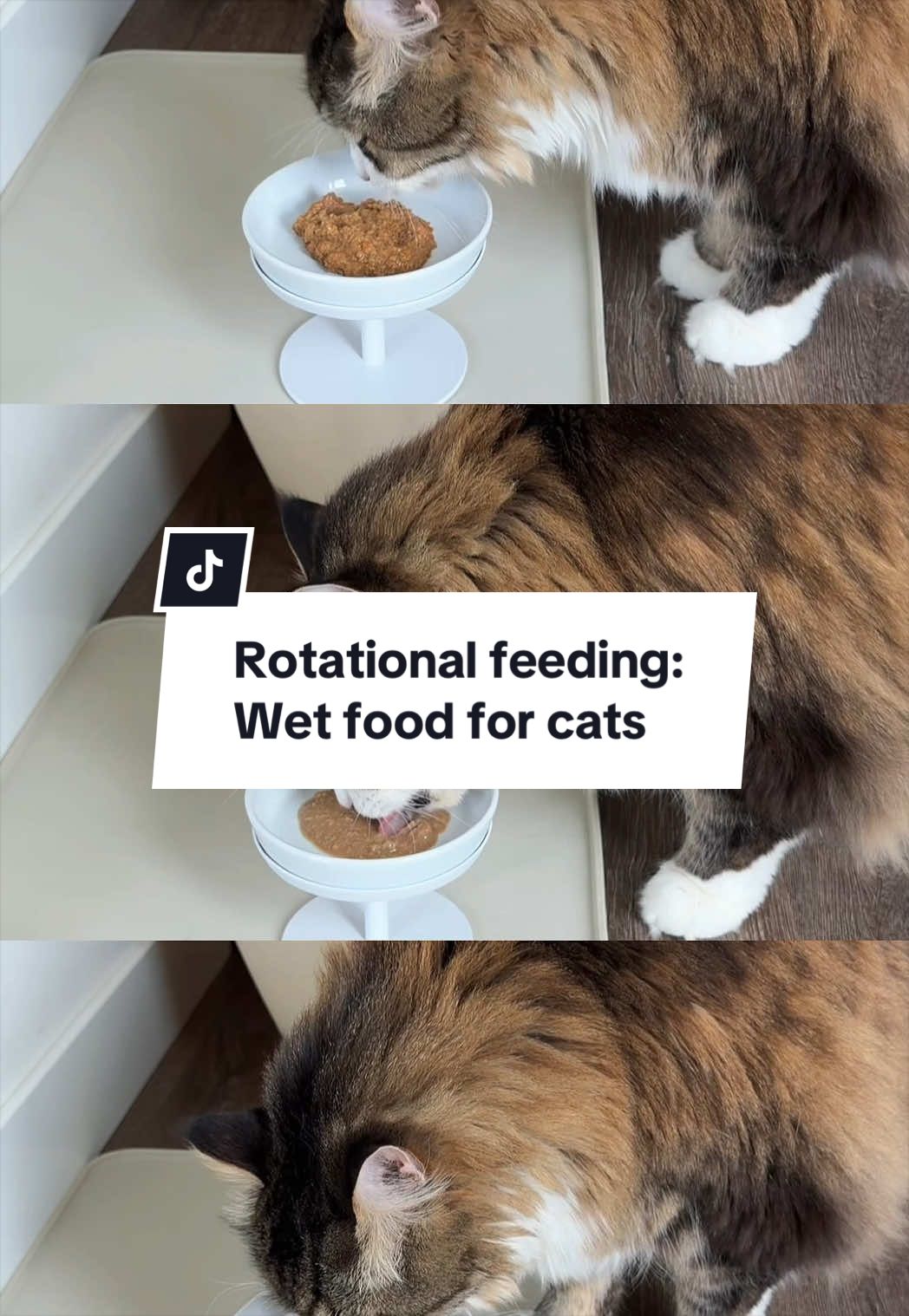 @Tuft & Paw