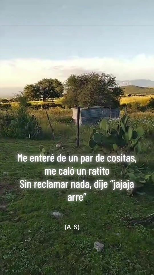 @Bibi