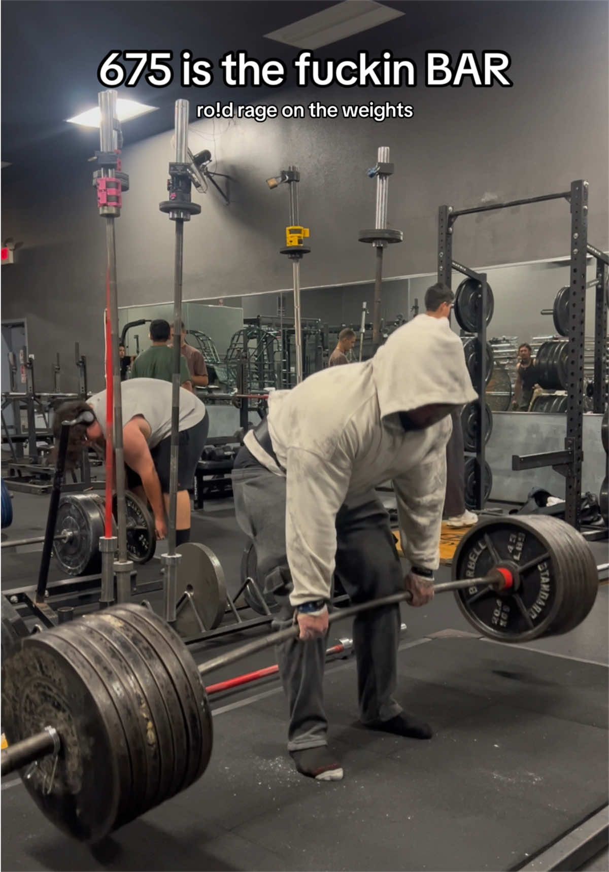 @GORILLA QUINN 🦍🇺🇸