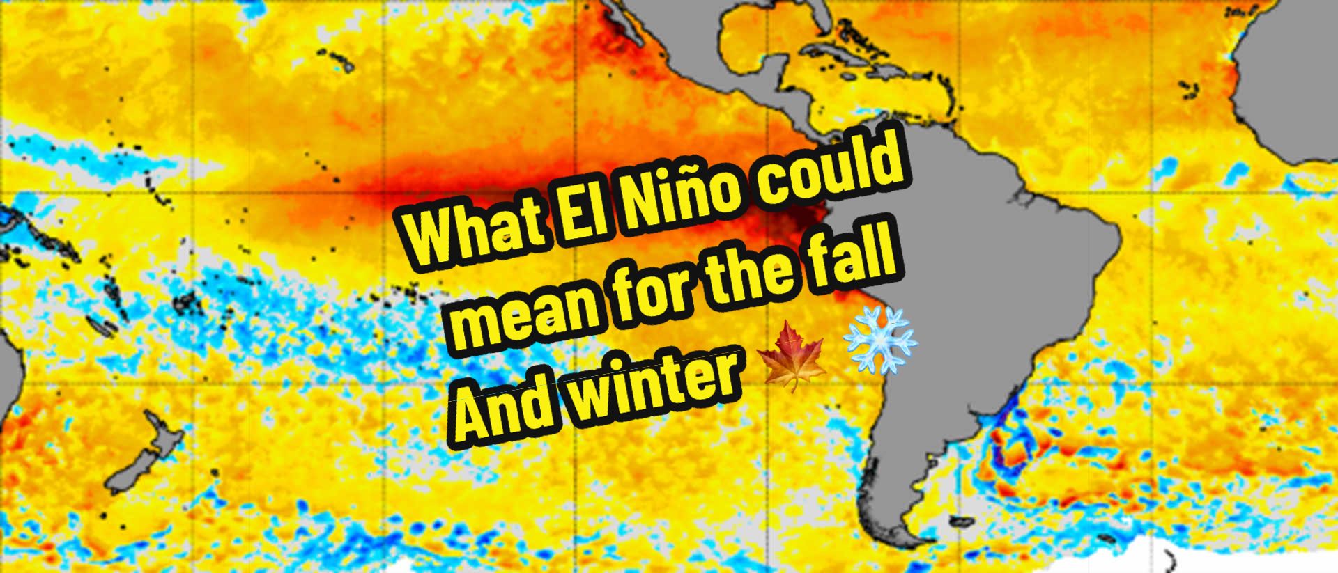 @WRAL_michaels
