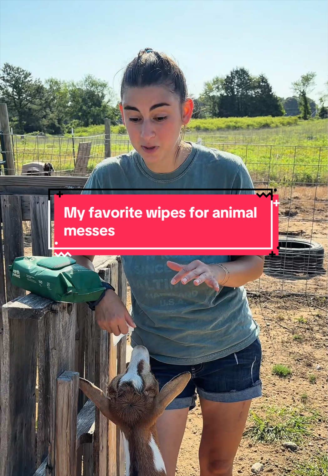 @Heart & Hoof Homestead