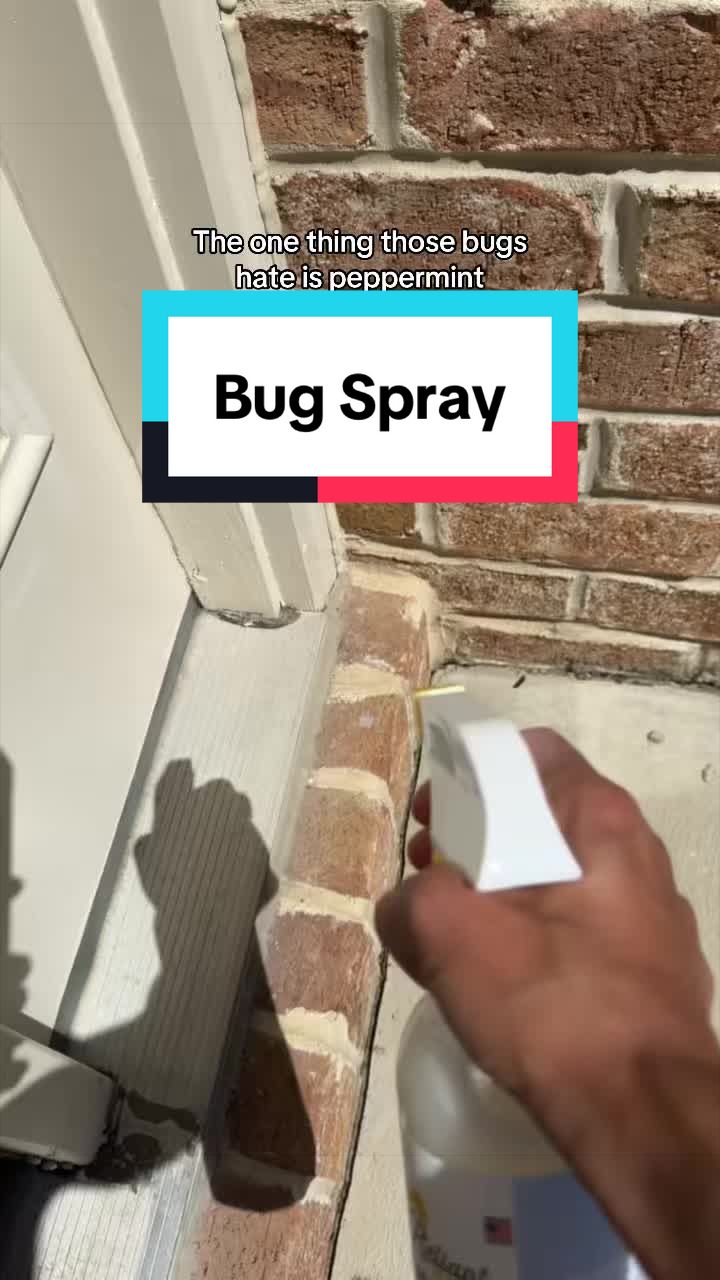 @DANA&bull; MOM + HOME HACKS