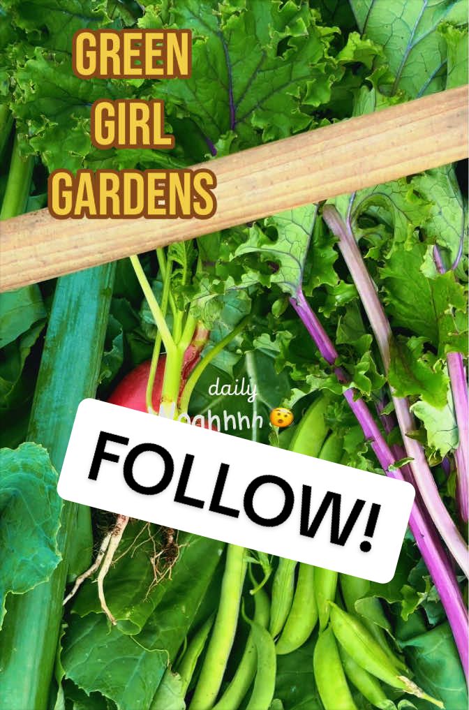 @greengirlgardens