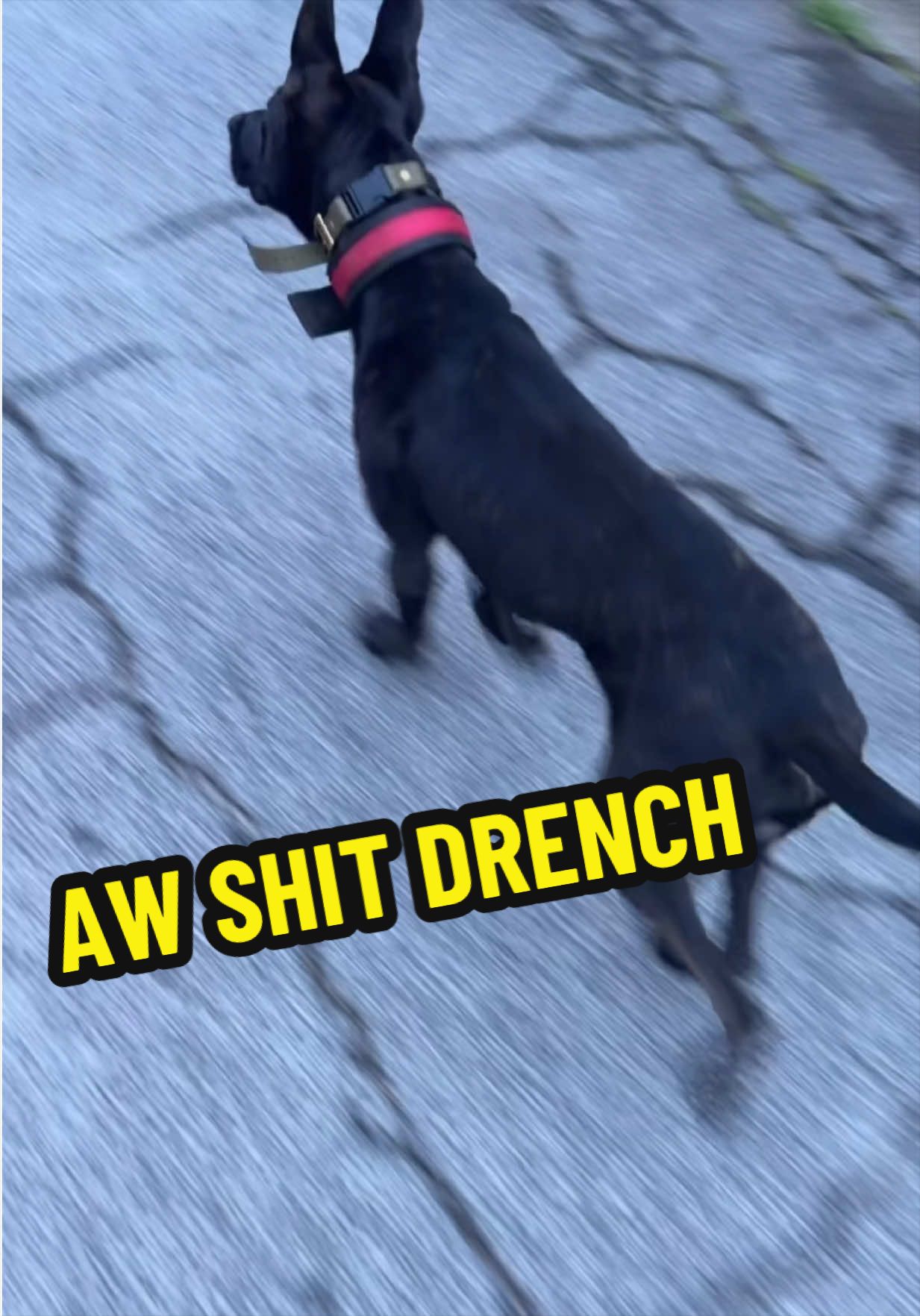 @Mr Wick