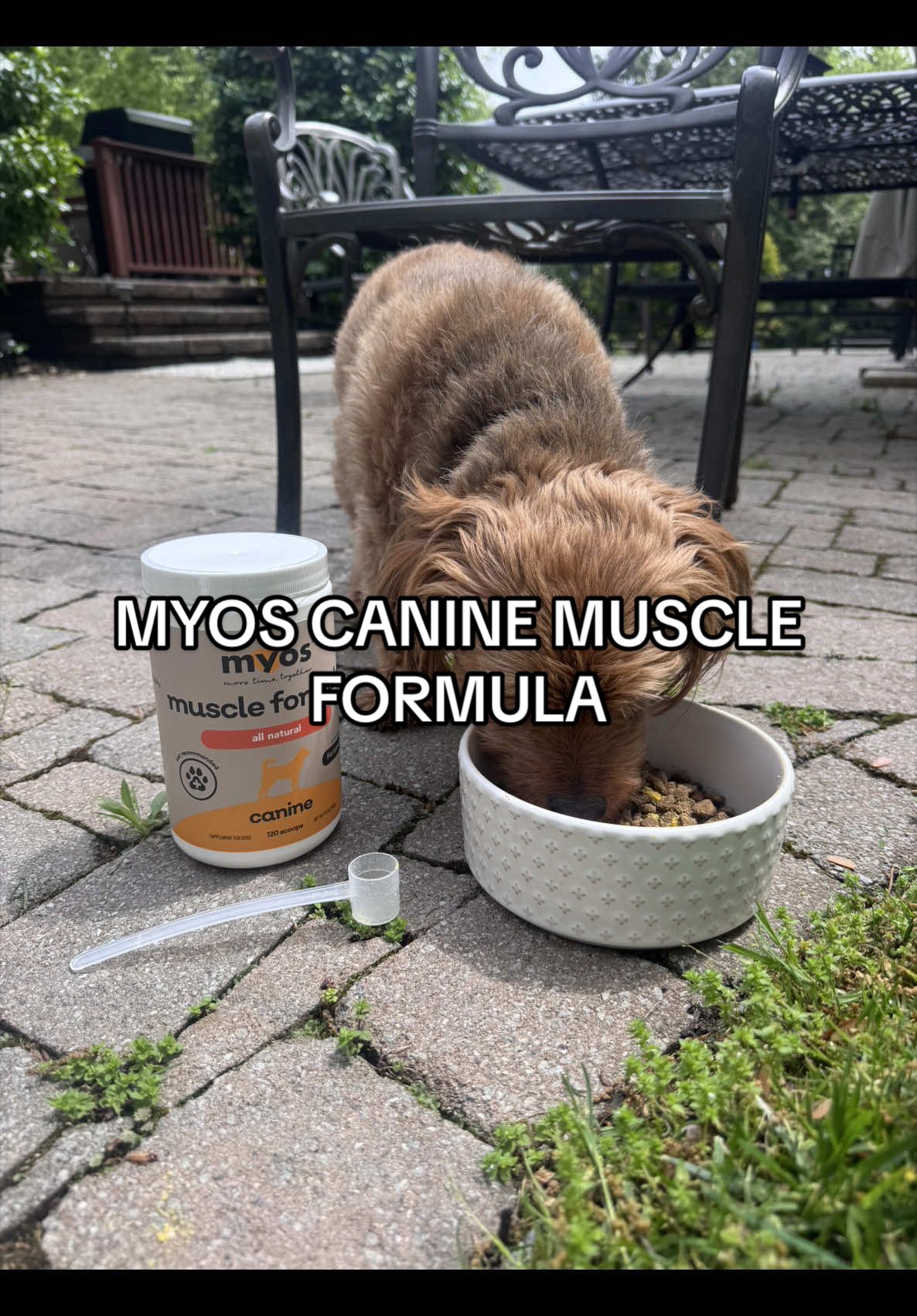 @myospet