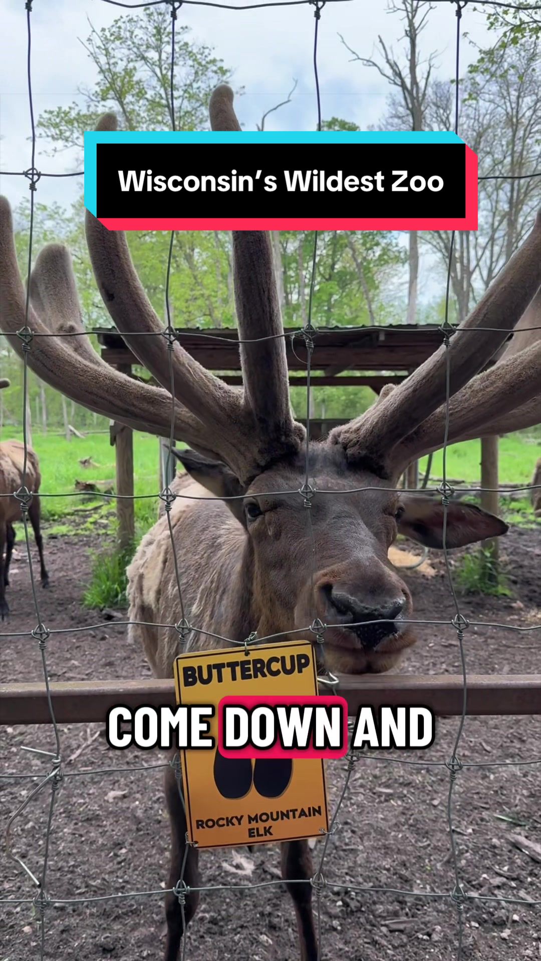 @Wonderfully Wisconsin
