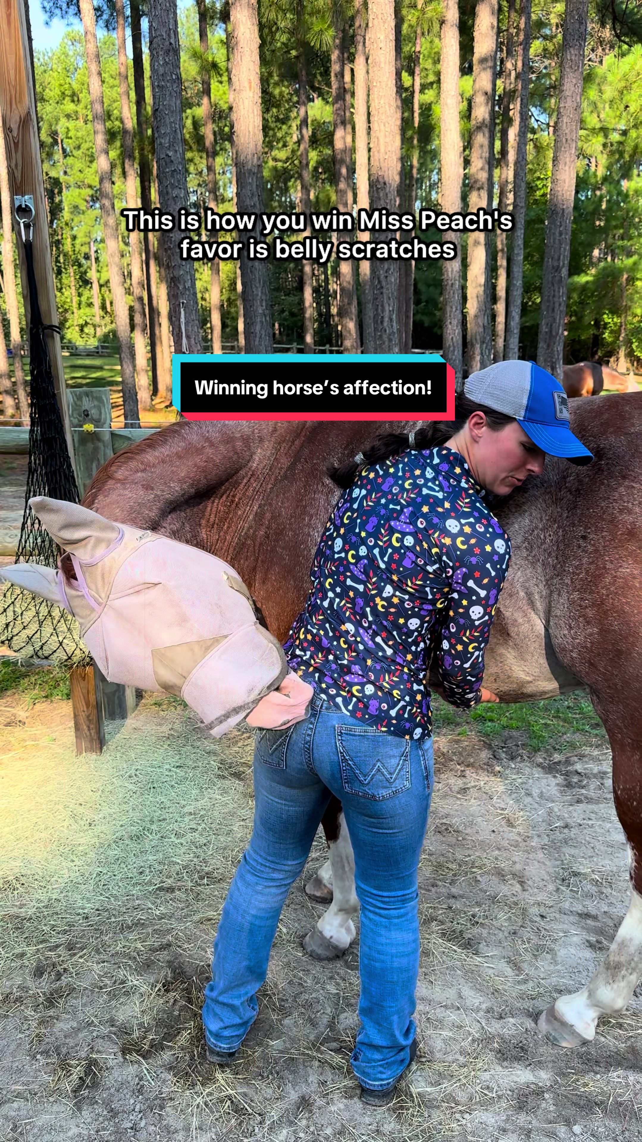 @TheSouthernHorsegirl